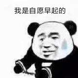 熊猫人我是自愿的表情包