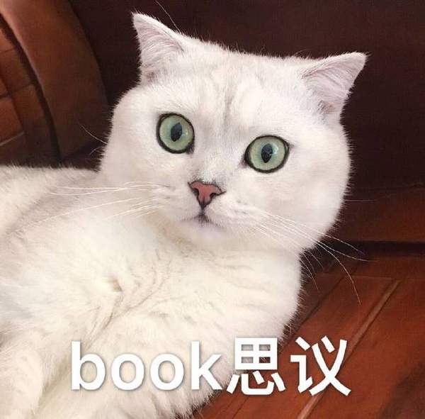 Book思议猫咪表情包