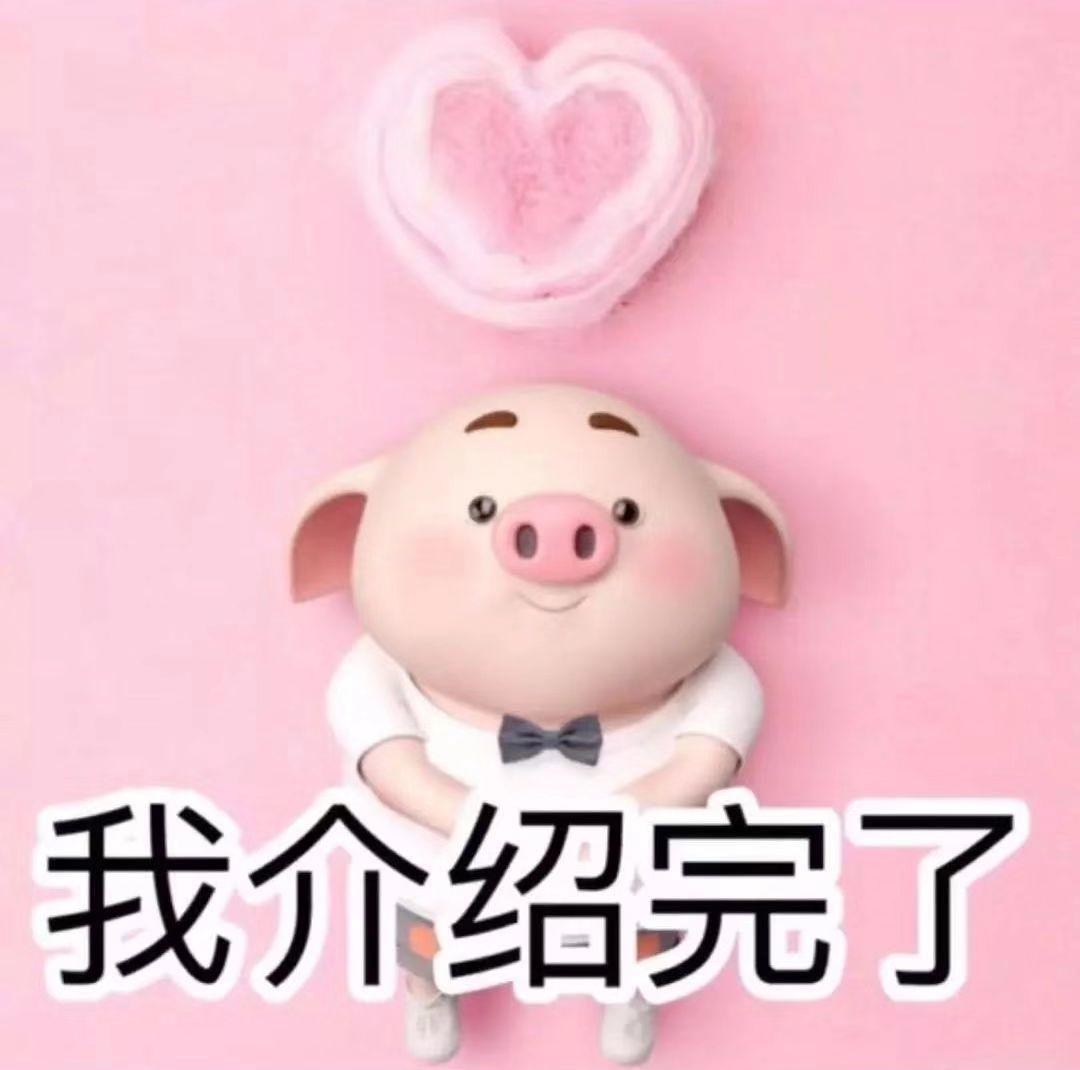 抖音热图丨猪猪九宫格
