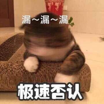 猫咪跟你妈说今晚不回家表情包