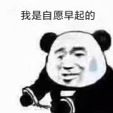 熊猫人我是自愿的表情包图3