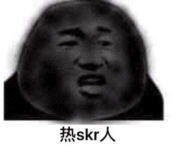 中国新说唱skr表情包图4