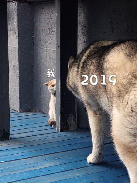 2018和2019交接图片图3