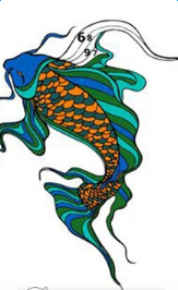 锦鲤鱼的染色图2