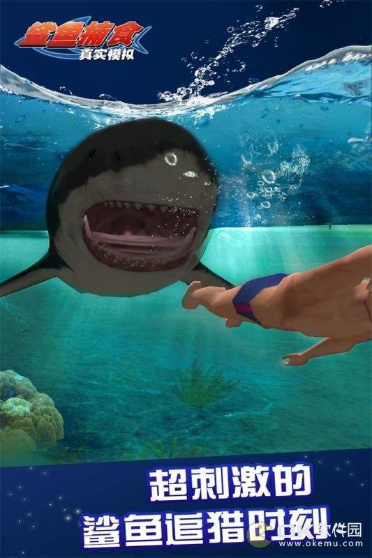 真实模拟鲨鱼捕食图3