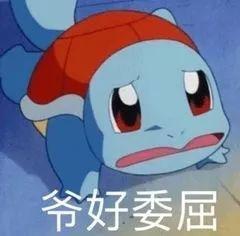 杰尼龟憨憨表情包