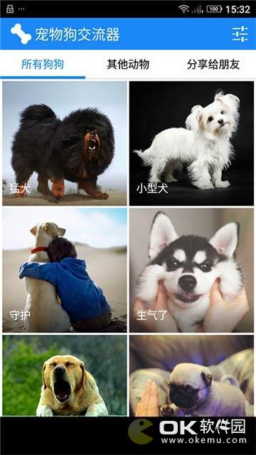 宠物狗交流器图1