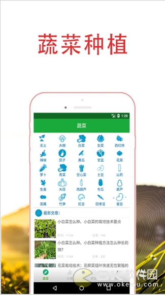 日日鲜菜园图2