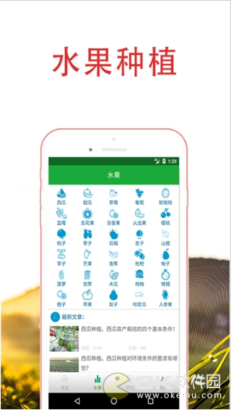 日日鲜菜园图1