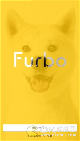 Furbo图2