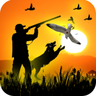 鸟类猎人挑战狙击射击3D