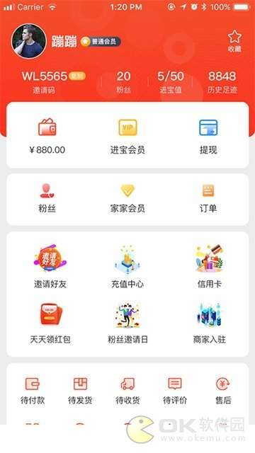 家家进宝图2
