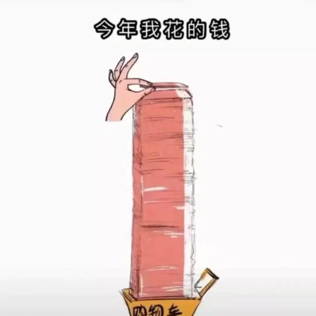 今年我花的钱表情包