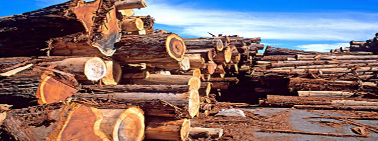 木材出售app