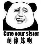 熊猫头英语表情包