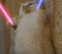 猫拿荧光棒表情包