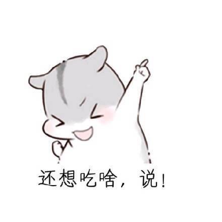 仓鼠表情包老公常用语表情包