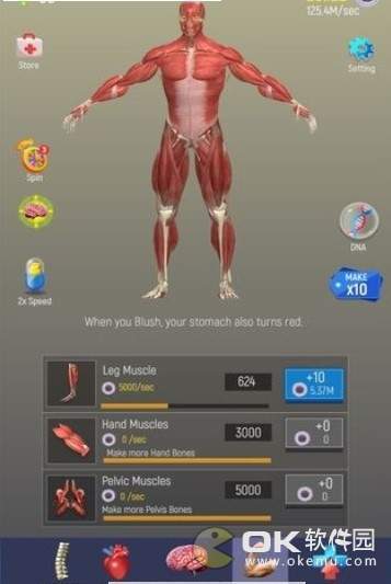 人体模型模拟器图2