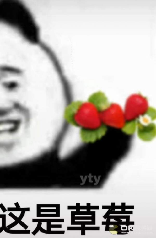 这是蓝莓这是草莓表情包图3