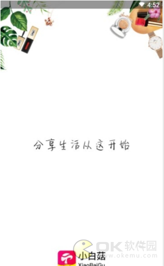 小白菇图2