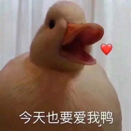 最近流行的鸭子表情包