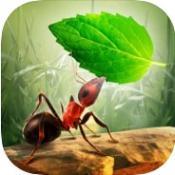 小蚂蚁部落游戏最新版