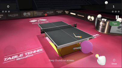 真实乒乓球游戏中文版图1