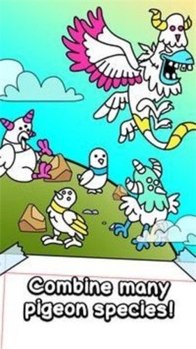 鸽子进化图3