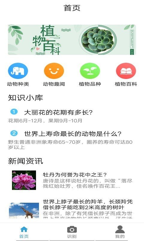 植物图鉴图1