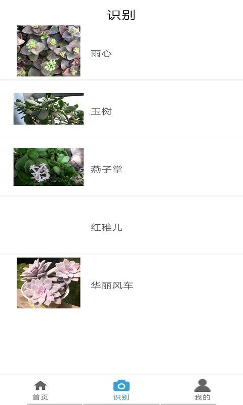 植物图鉴图3