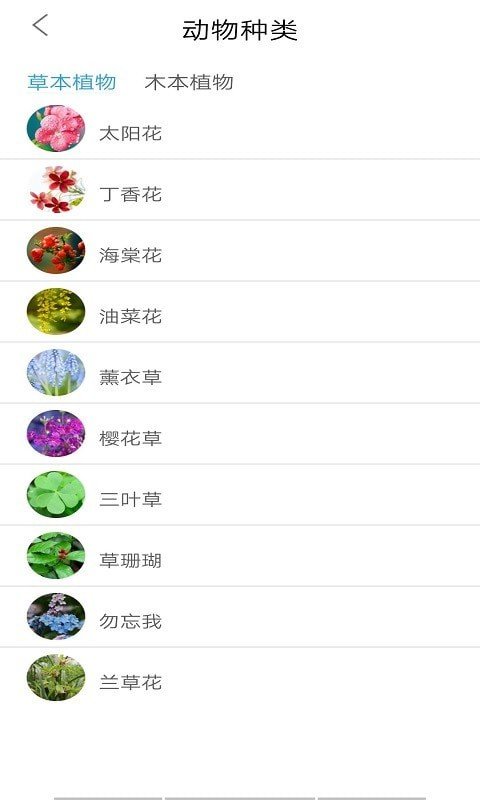 植物图鉴图2
