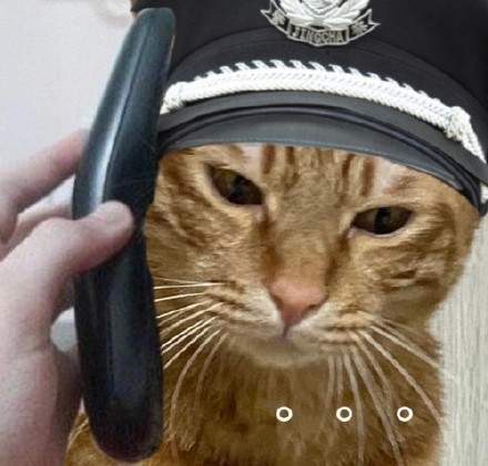猫咪警察表情包