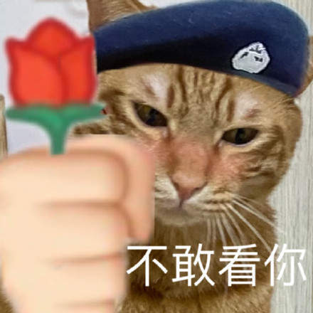 猫咪警察表情包