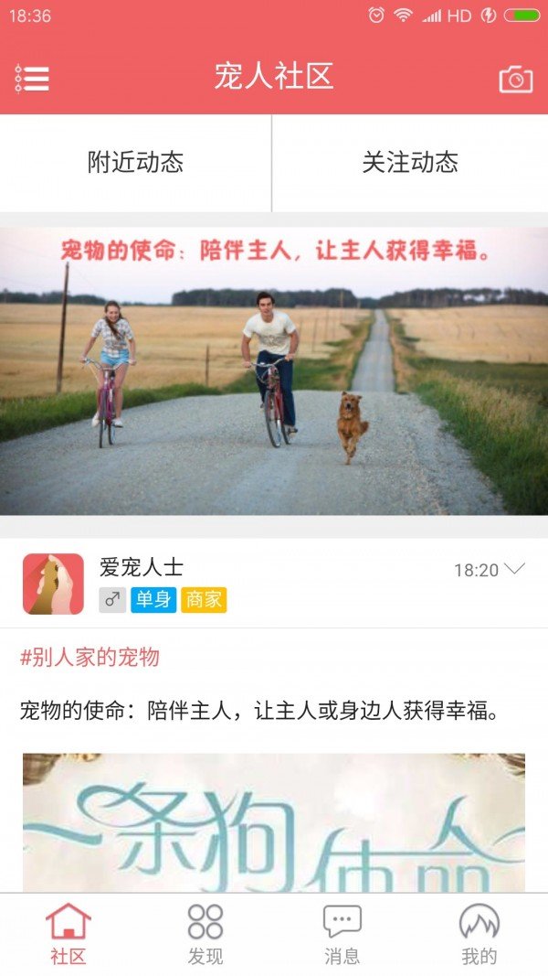 宠人图2