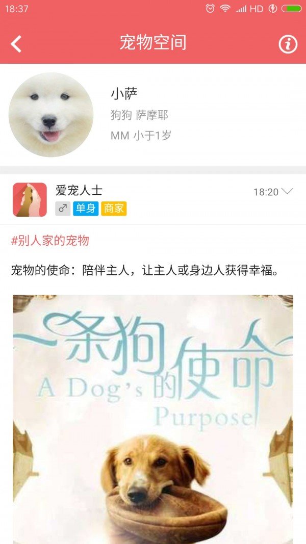 宠人图5