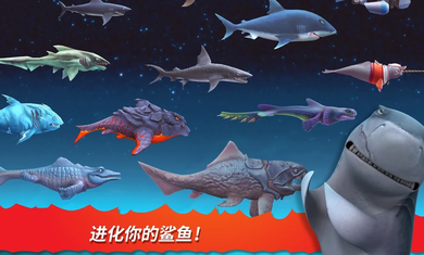 饥饿鲨进化黑暗双髻鲨图2