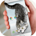 可爱猫动态屏幕(Cat Walks in Phone Cute joke)免费版