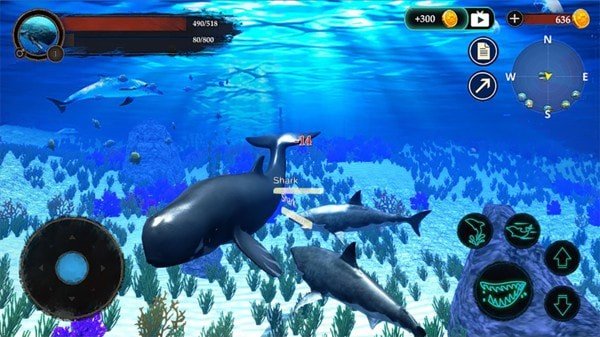 抹香鲸模拟器图3