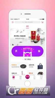 灵猫图1
