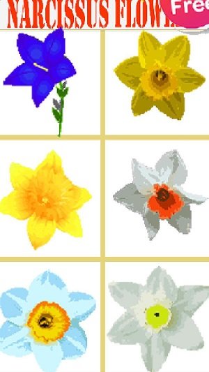玉兰花像素艺术图1