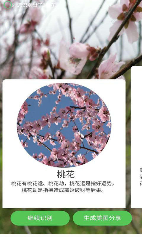 爱鉴花图2