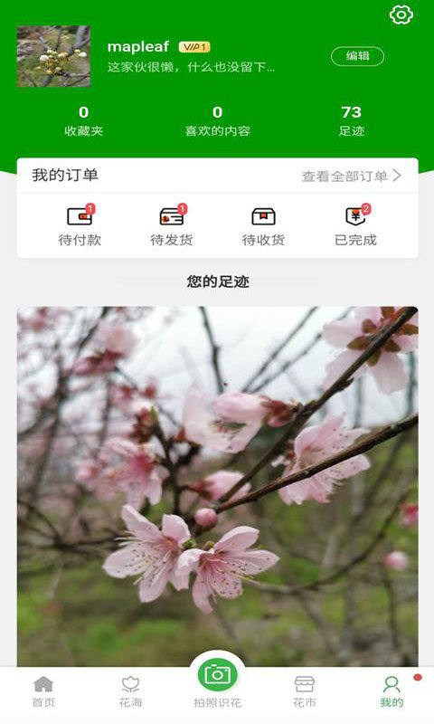 爱鉴花图4