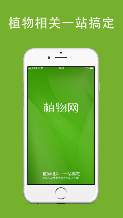 植物网图1