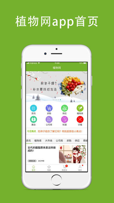 植物网图2