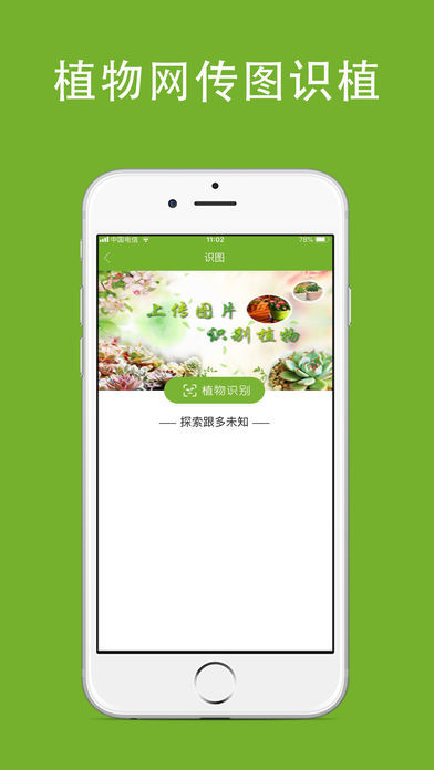 植物网图4