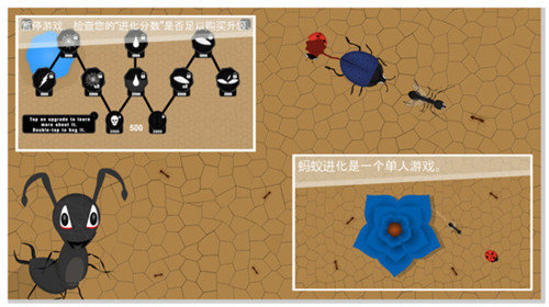 蚂蚁进化3D图2