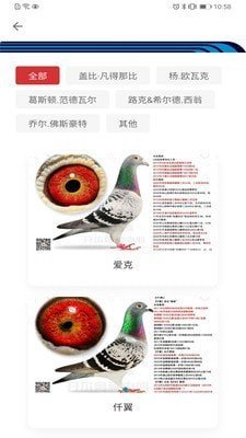 邢小信图2