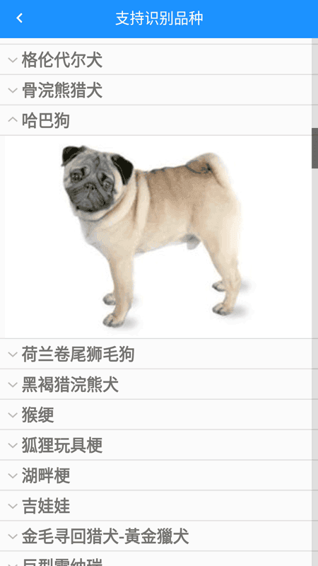 哈狗识别图2