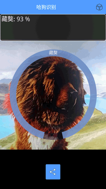 哈狗识别图3