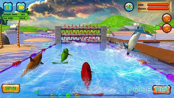 海豚比赛3D版图2